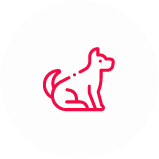 Pets